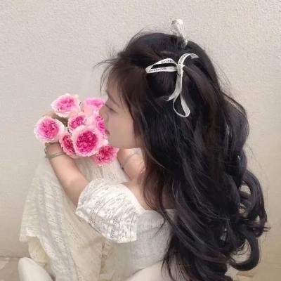 起诉教宗海报
